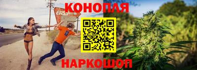 гидропоника Дубна